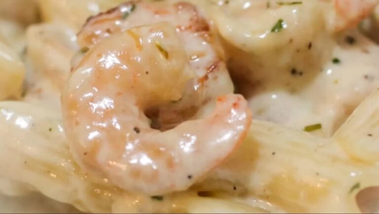 Pasta with Shrimp (Outback Alfredo Sauce)