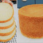 Professional Sponge Cake